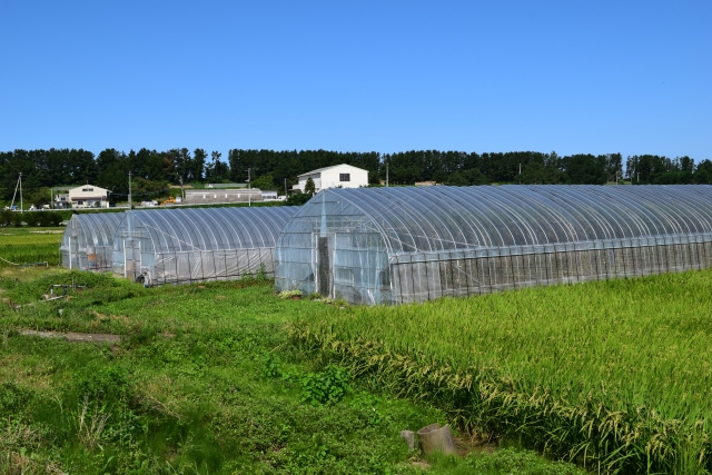 ビニールハウス　施工事例の施工事例