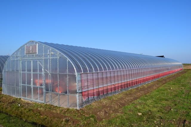 ビニールハウス　施工事例の施工事例