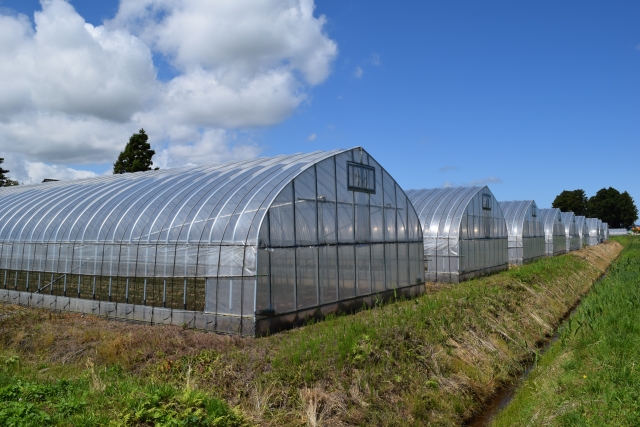 ビニールハウス　施工事例の施工事例