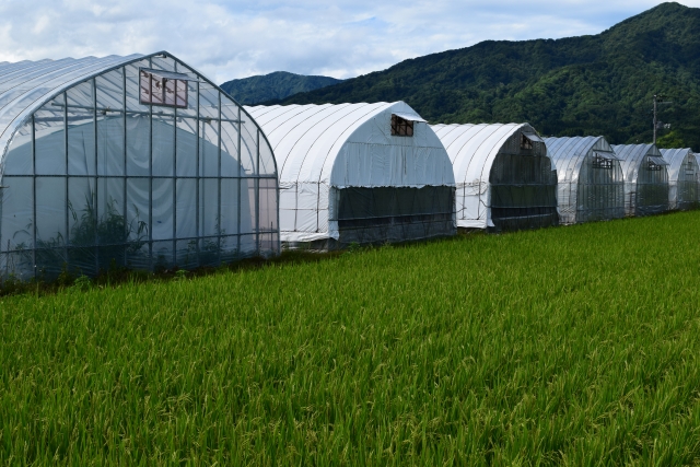 ビニールハウス　施工事例の施工事例