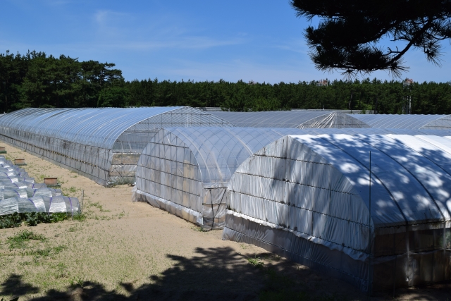 ビニールハウス　施工事例の施工事例