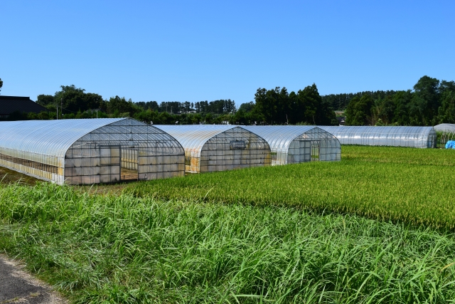 ビニールハウス　施工事例の施工事例