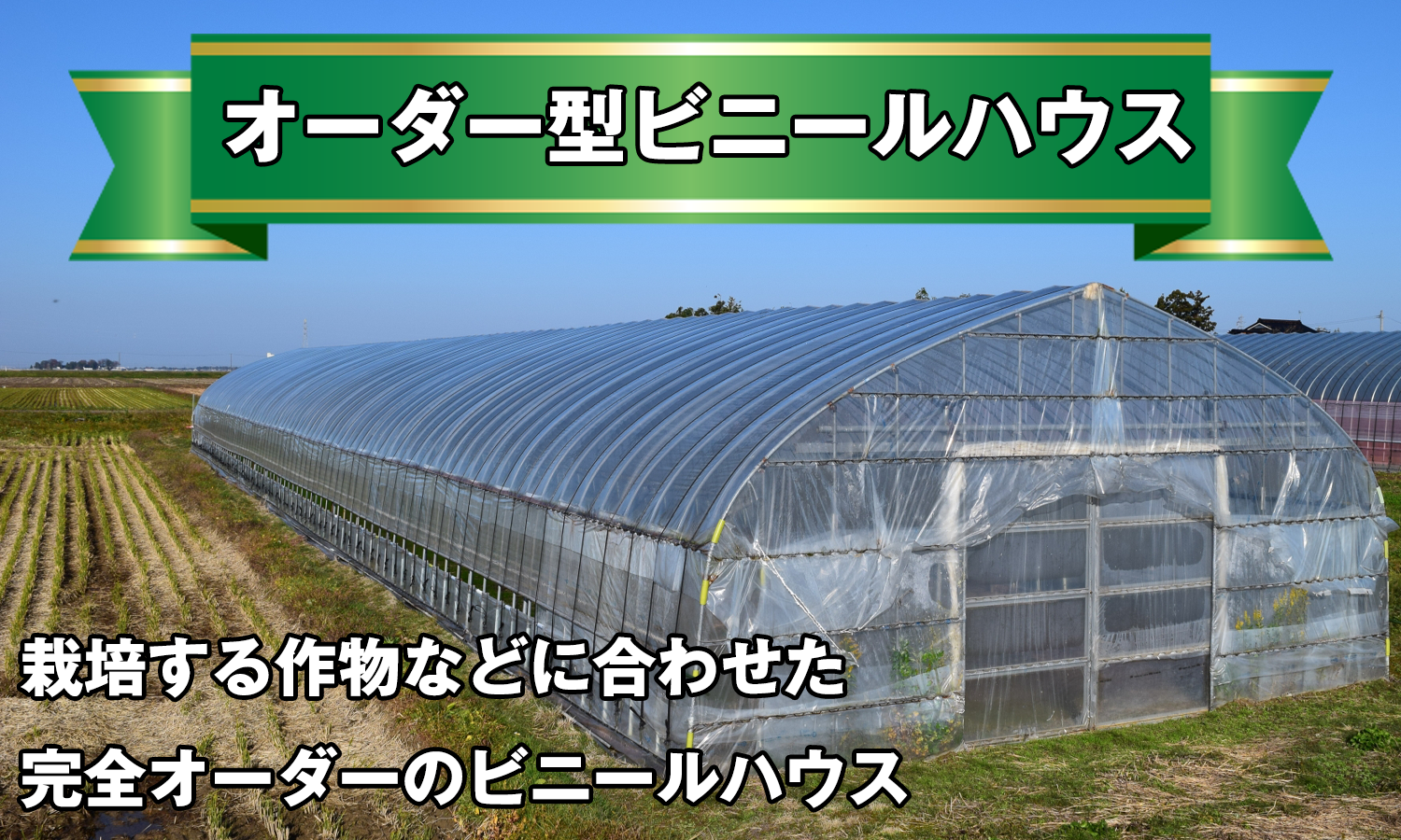 ラインナップ商品